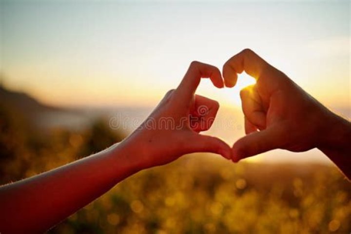A Journey Into Success, Support, And Love
